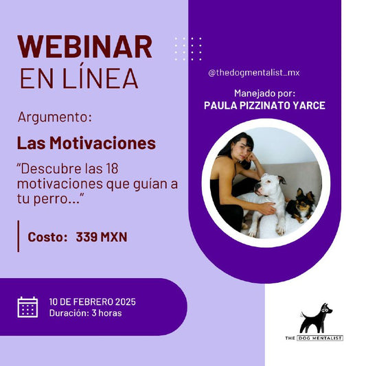 WEBINAR EN LINEA - THE DOG MENTALIST